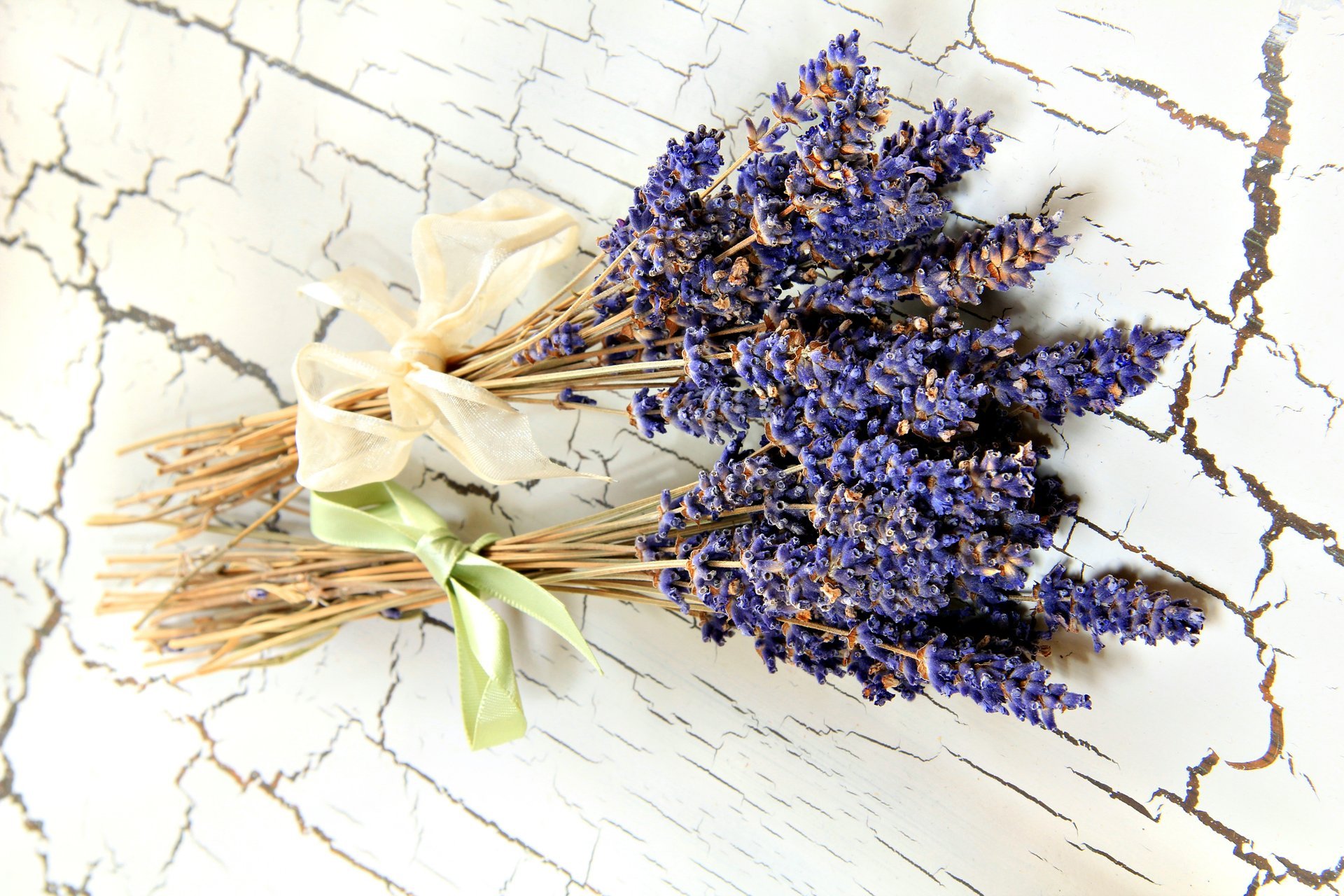 fiori natura morta lavanda