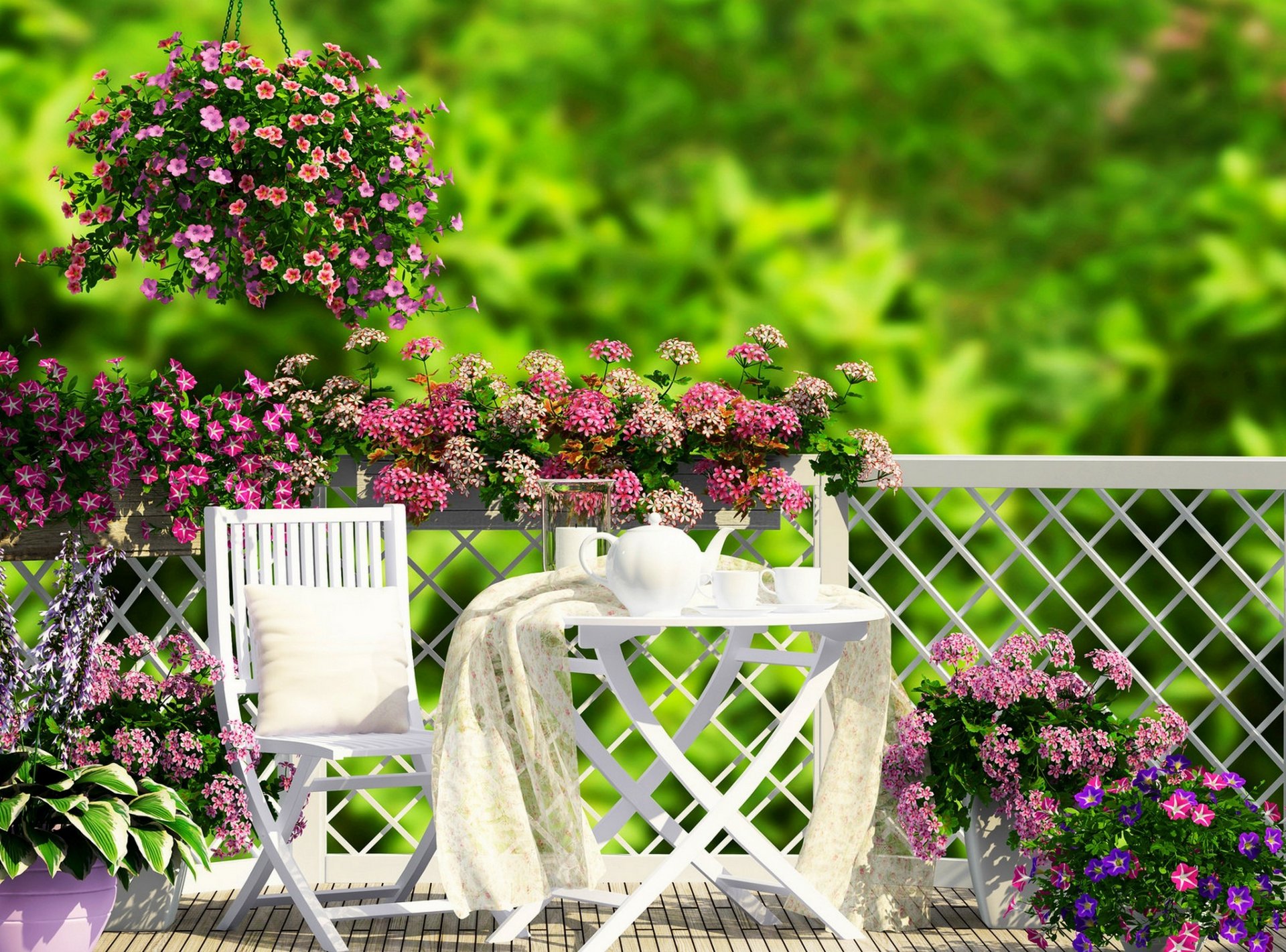 nature grass flowers garden veranda coffee tea