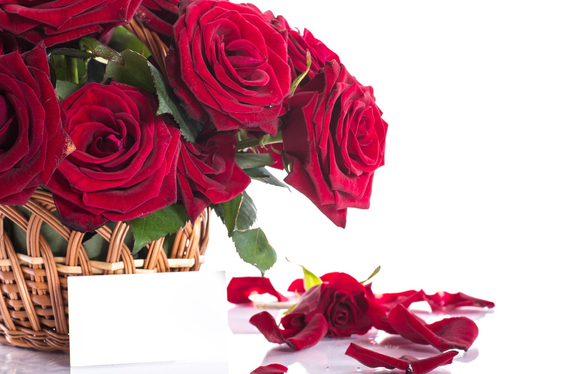 flores rosas ramo pétalos rojo
