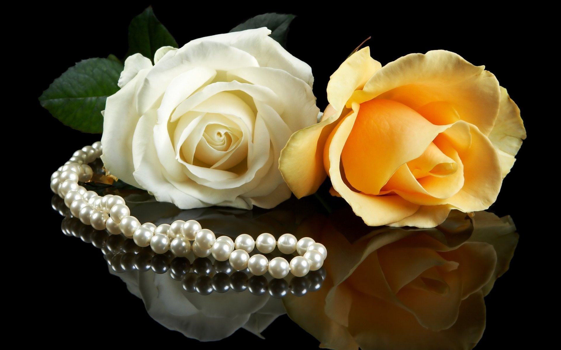 deux roses perles perles