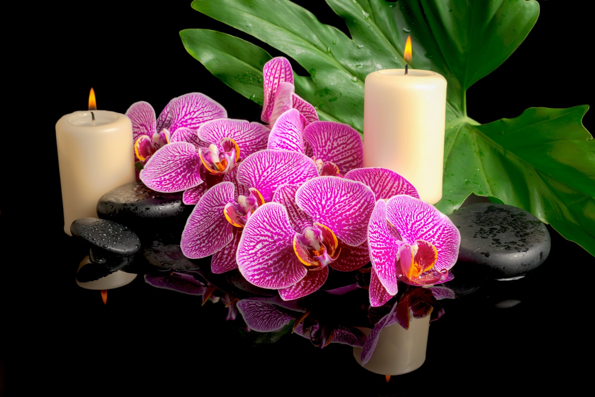 foglia fiori orchidee pietre spa candele gocce