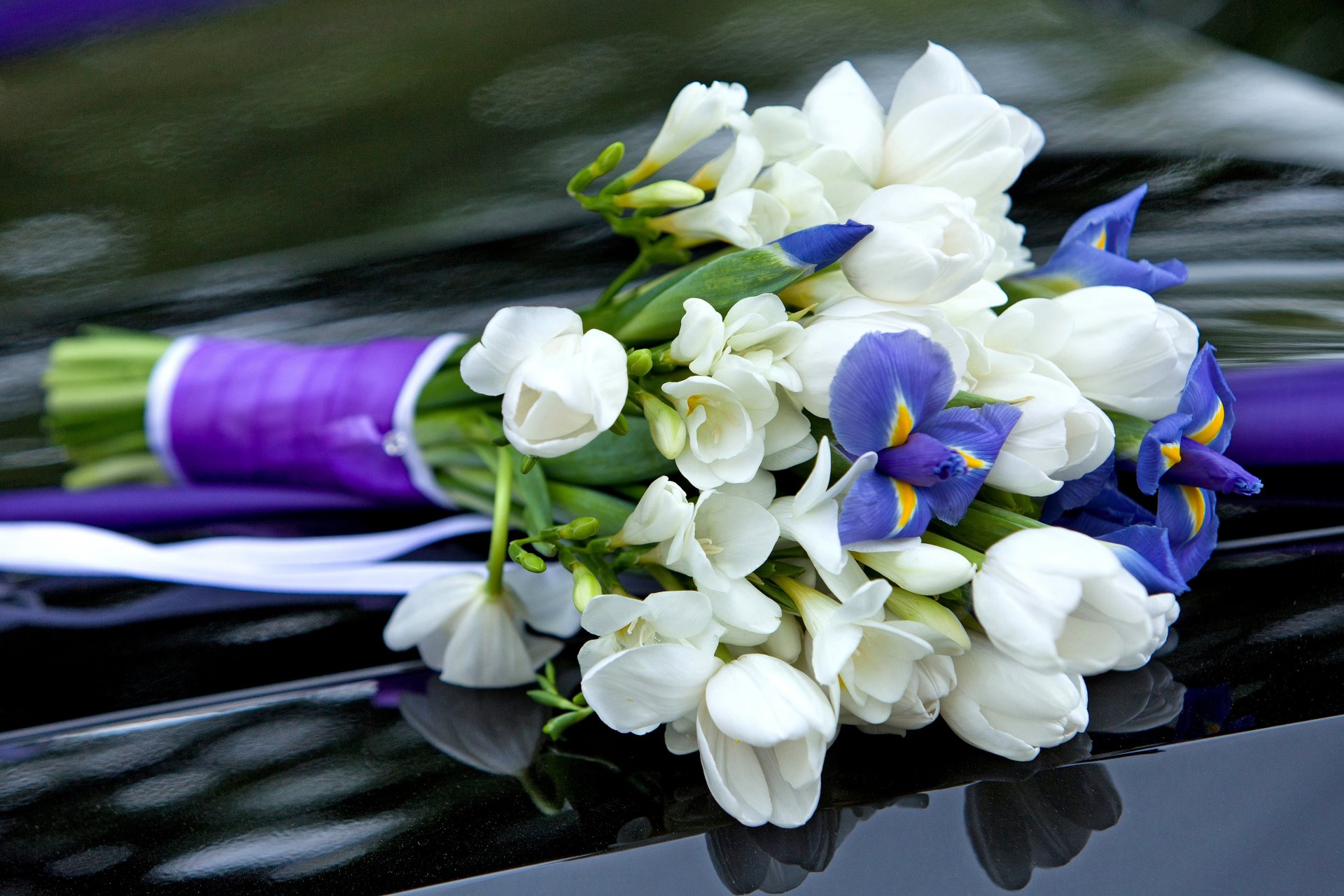 tulipes crocus iris fleurs blanc violet bouquet