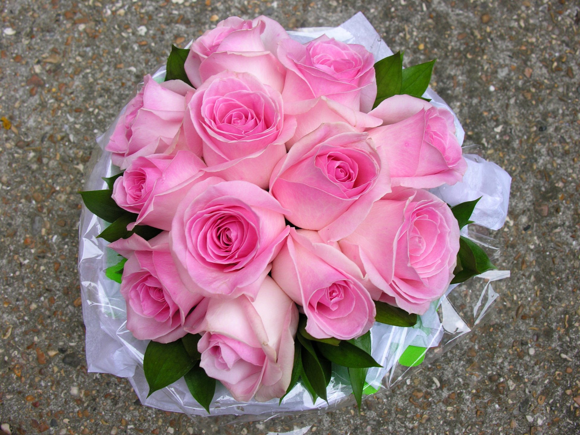 rose bouquet rosa fiori foto