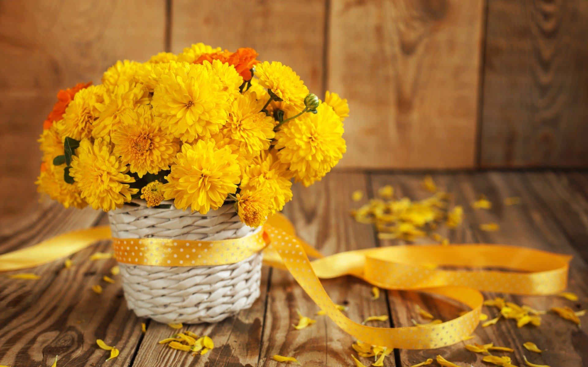 flower petals still life bouquet