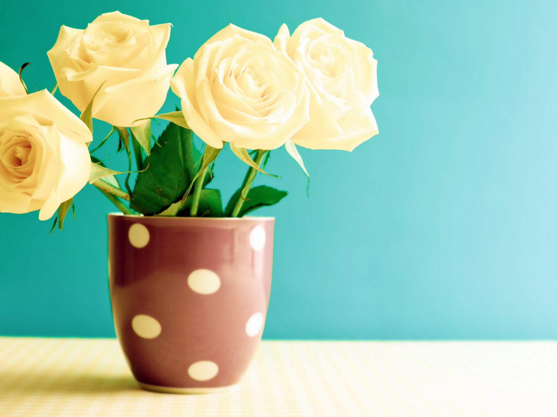 vintage roses flowers flower mug table
