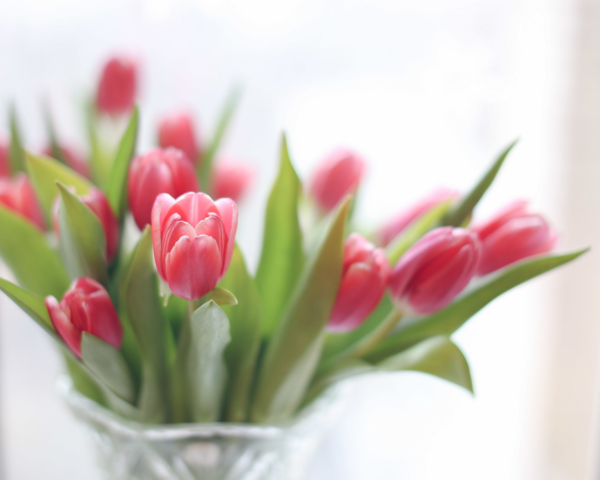 tulips flower bouquet