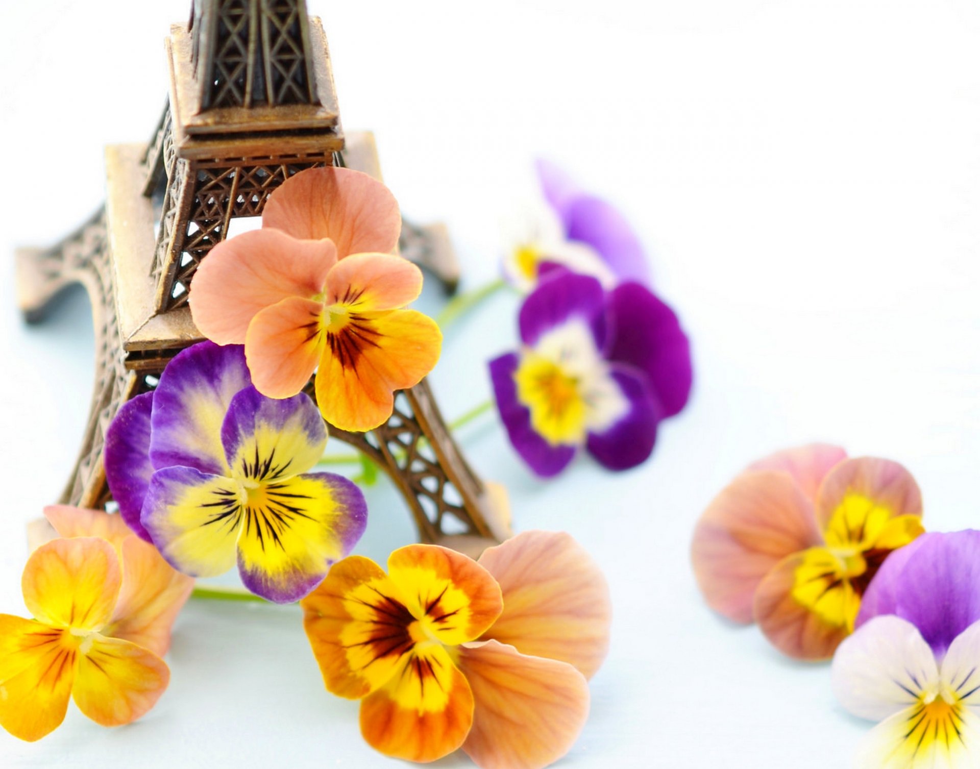 blumen veilchen statuette frankreich paris eiffelturm