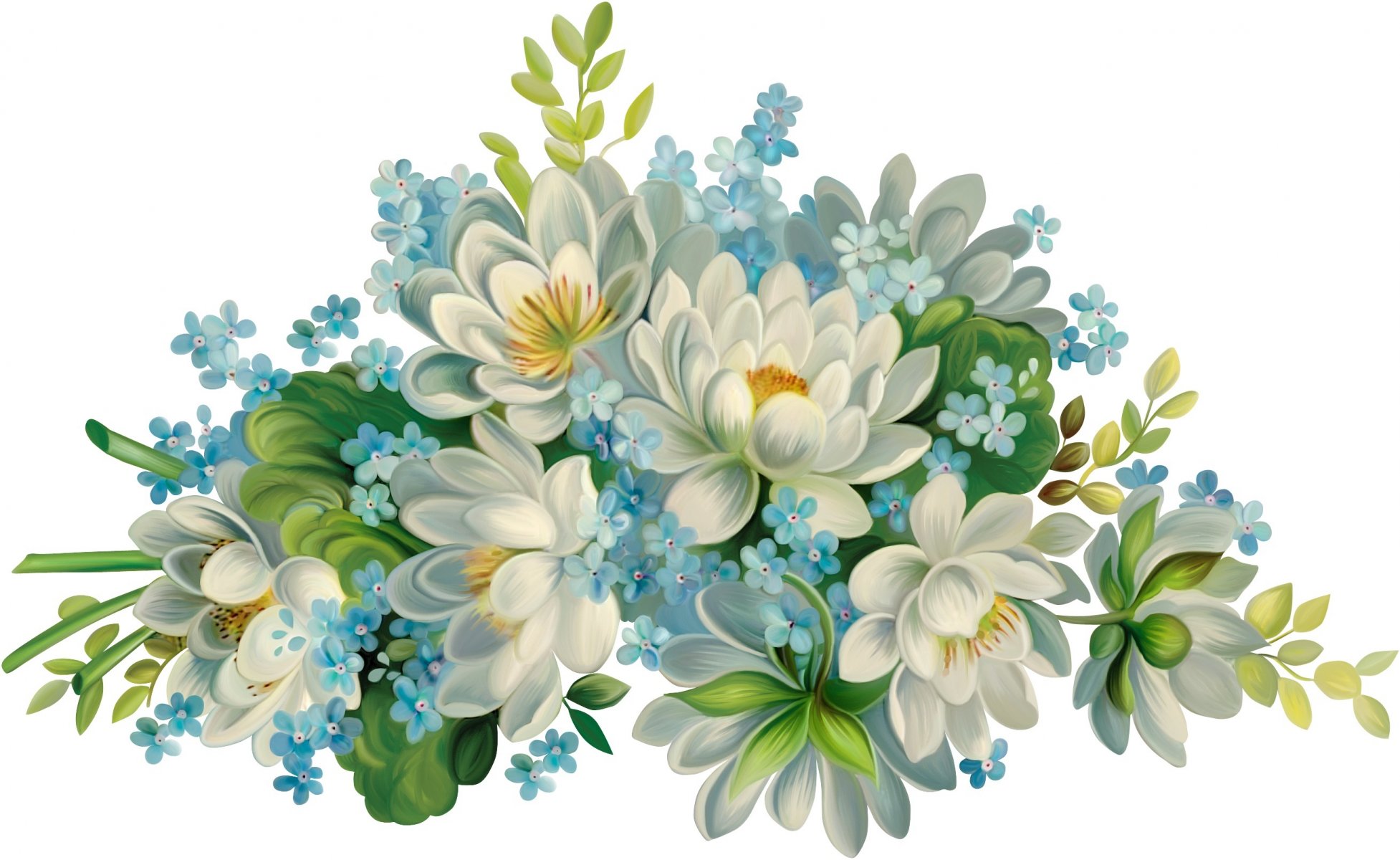 flores flores azules hermoso fondo blanco