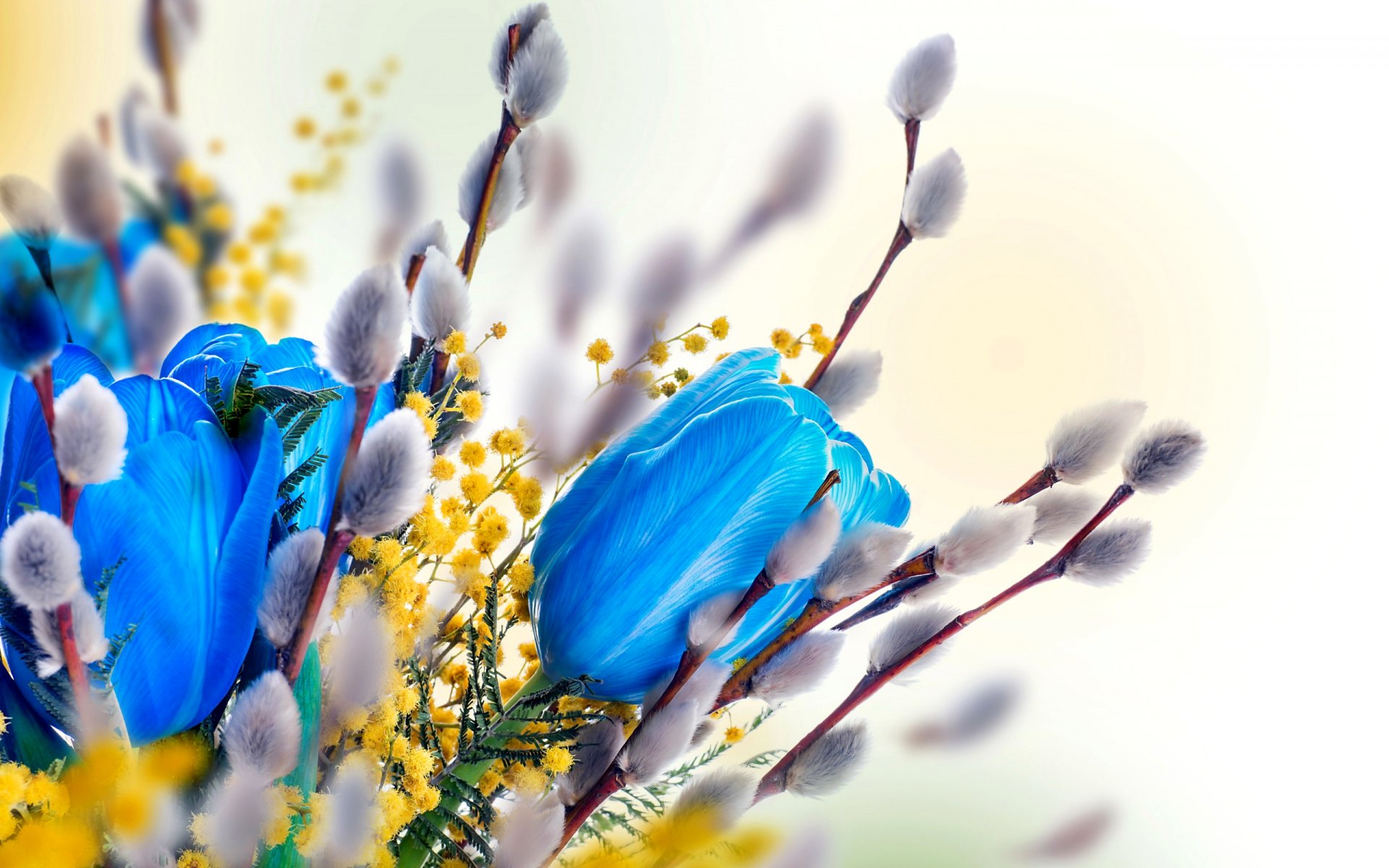 pring bouquet tulip willow mimosa rendering