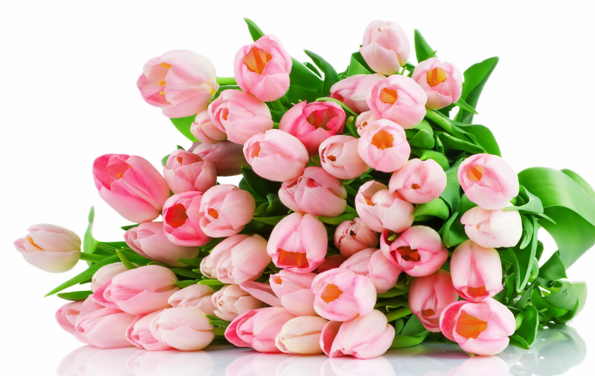 pink tulips flowers bouquet pink