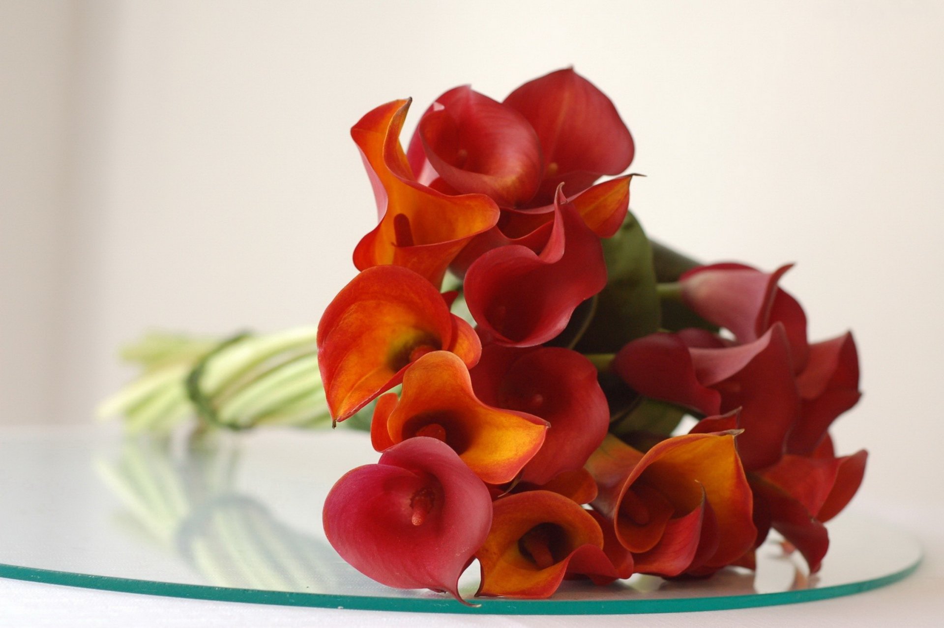 callas red bouquet petals glass reflection