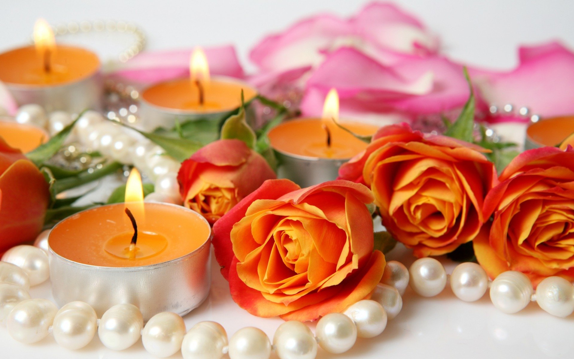 flower roses candles petal