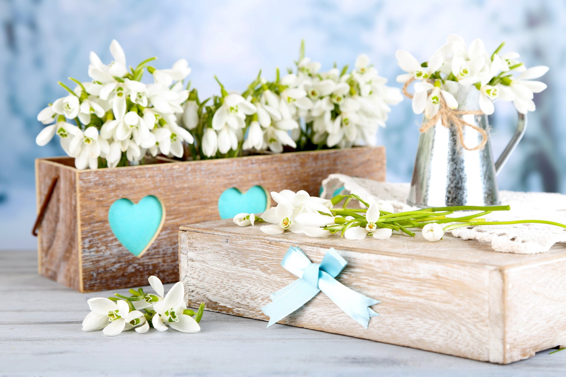 bucaneve bianco primavera fiori delicato bouquet primavera regalo