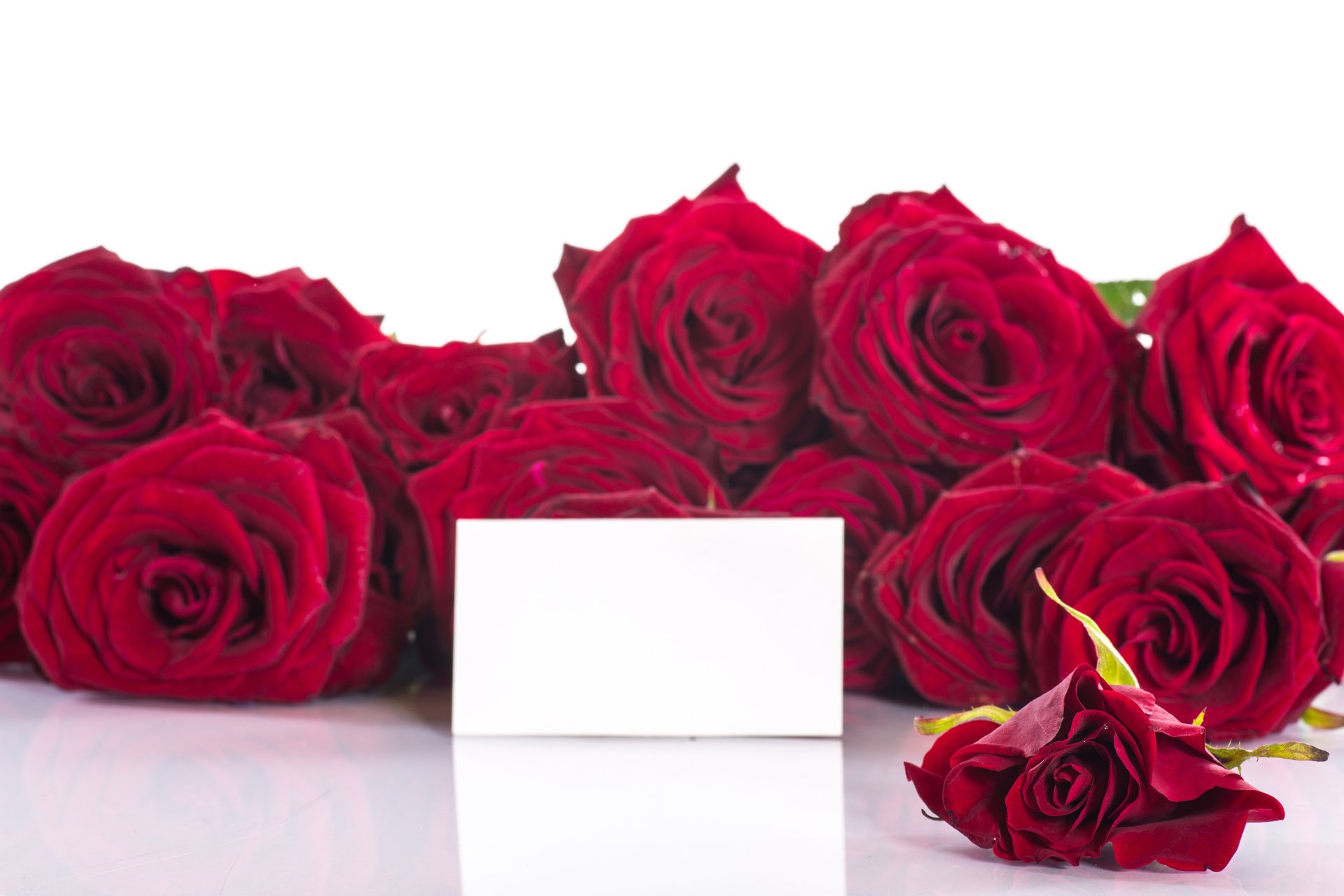 fiori rose bouquet petali rosso