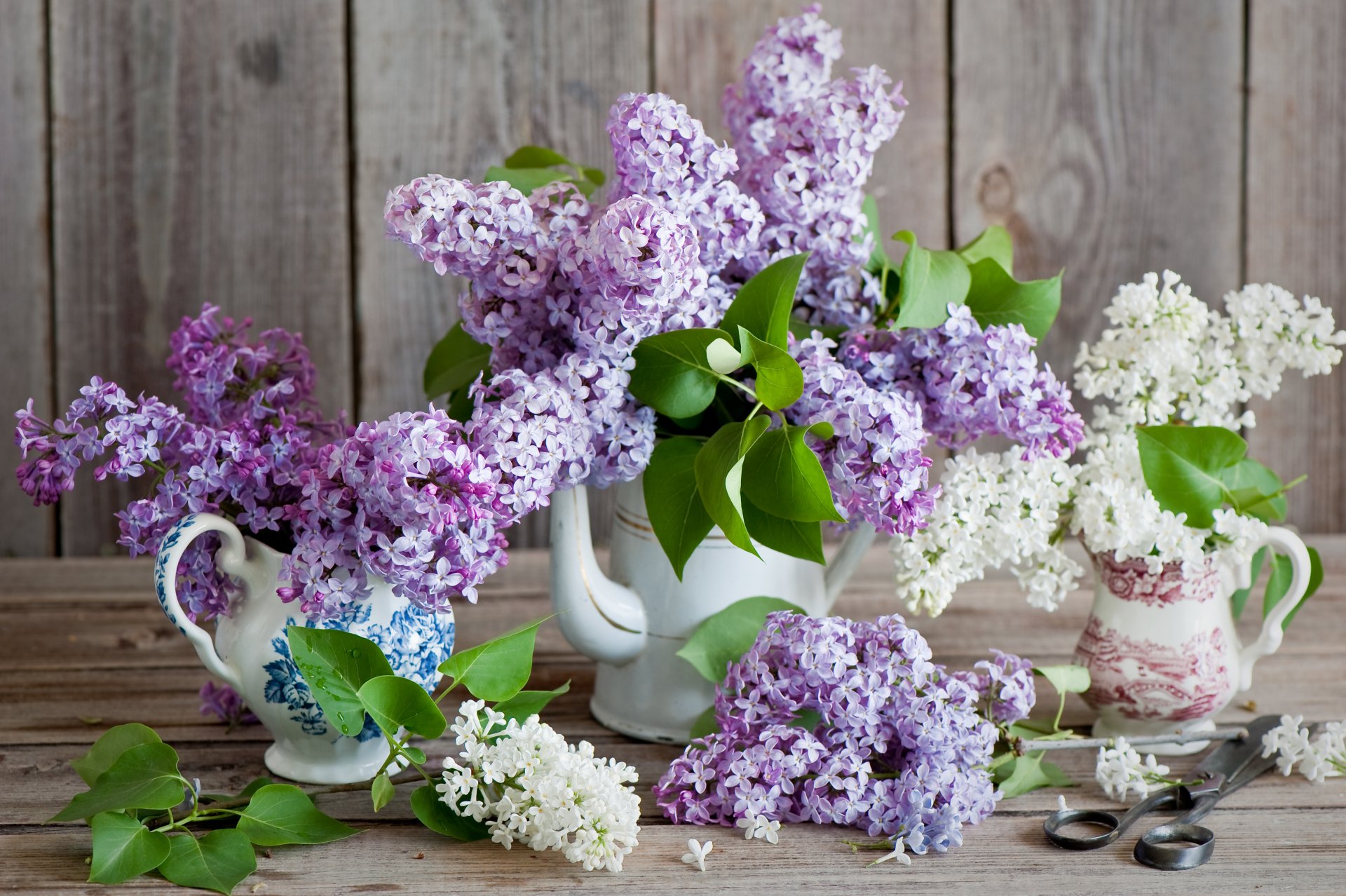flower bouquet lilac