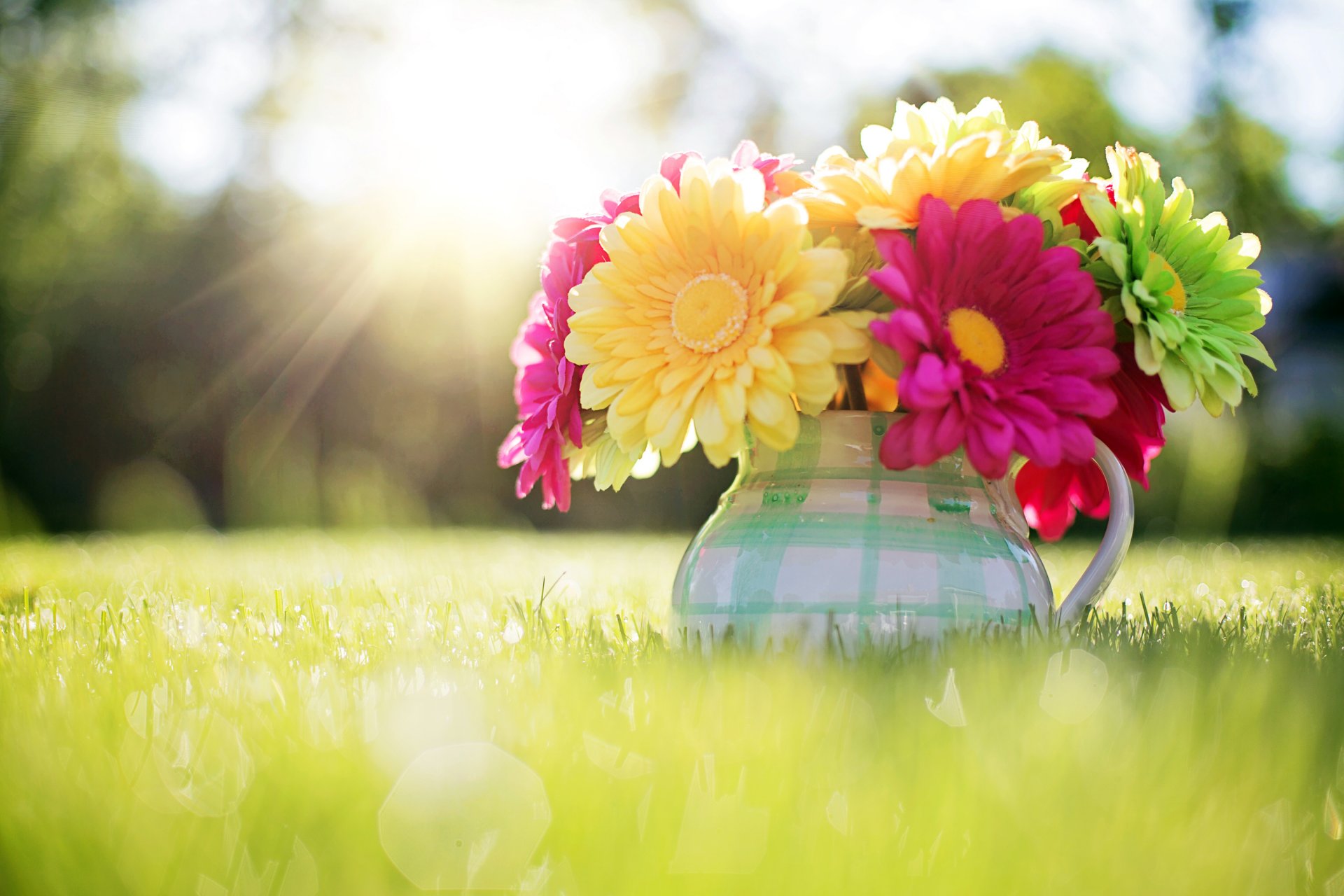 gerbera bouquet flower pitcher grass sun light spring nature bokeh