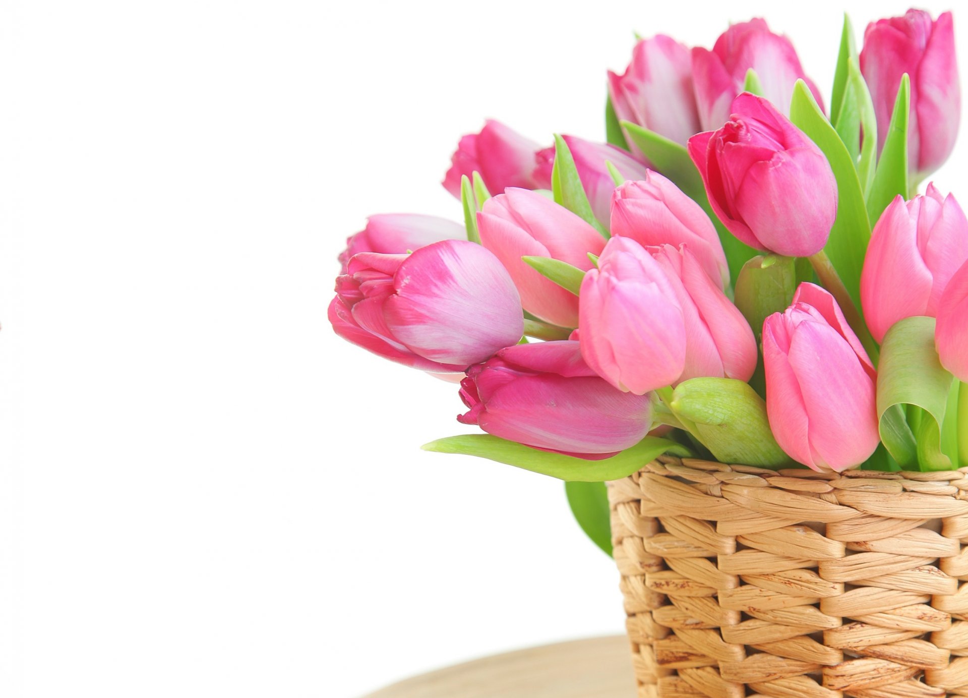 fleurs tulipes pâques oeufs