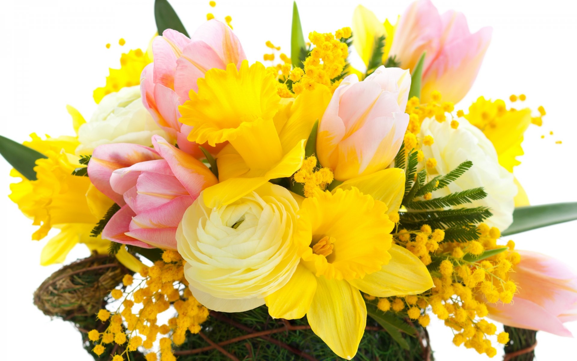 tulipes fleurs lumineux rose narcisse jaune mimosa bouquet pétales rose jonquilles feuilles beauté