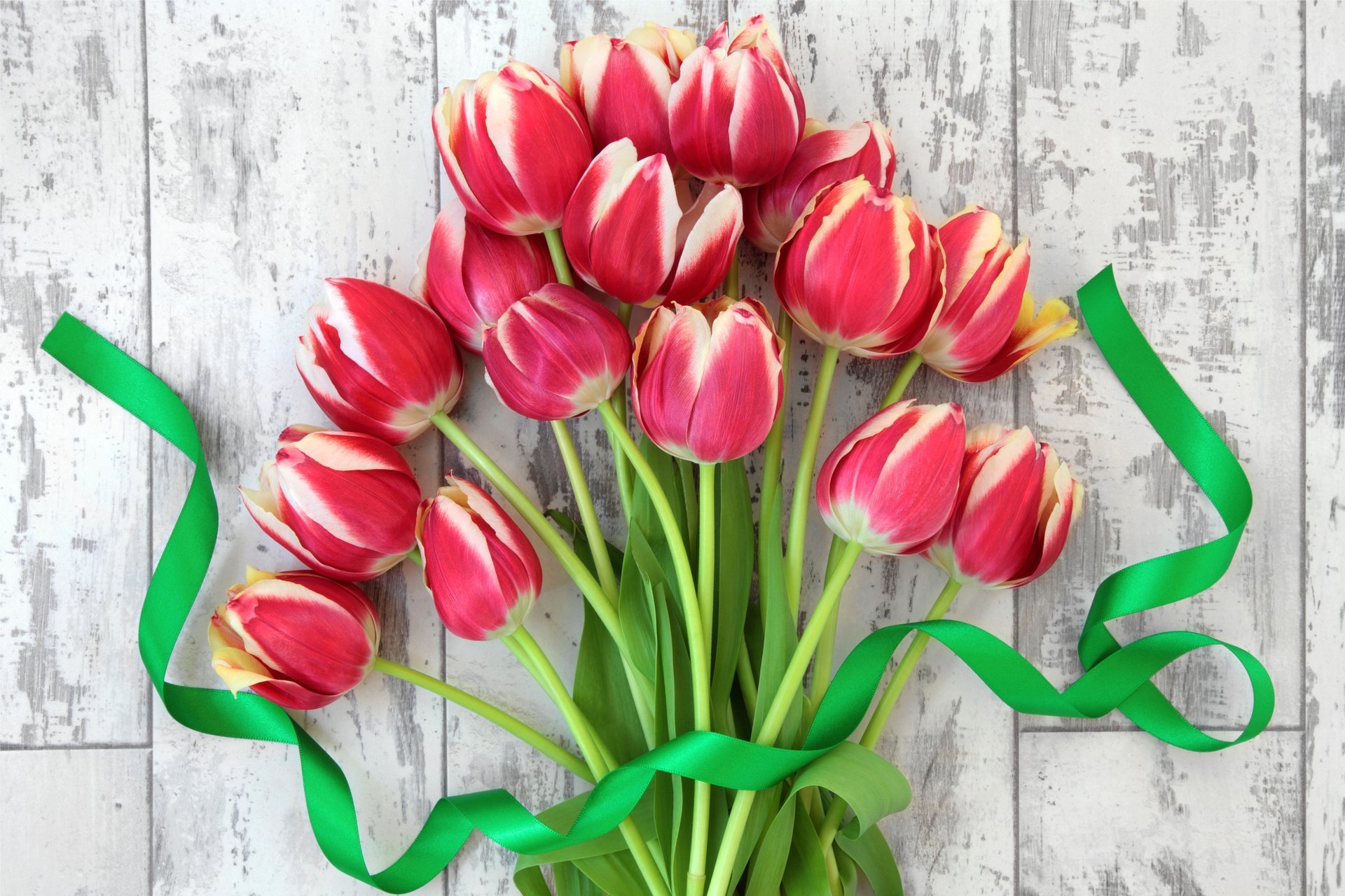 tulipani freschi fiori bouquet nastro