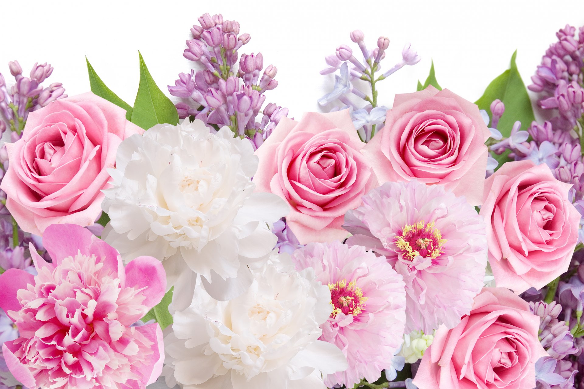 flowers peonies roses lilac