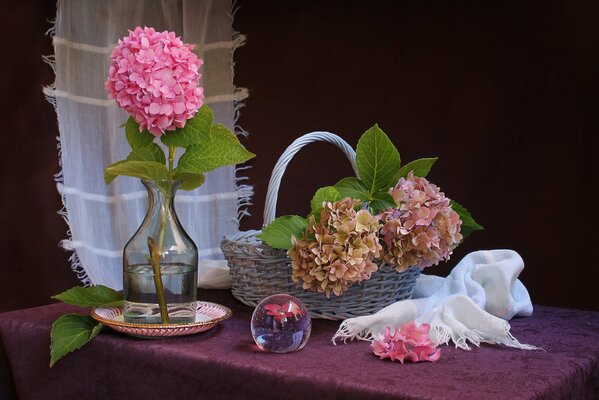 Sur la table un panier avec de beaux hortensias