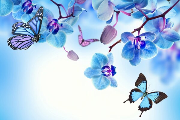 Orchid with beautiful blue butterflies