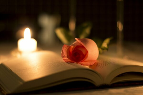 Mysteriöser Nachthintergrund mit Kerze, Buch und Rose