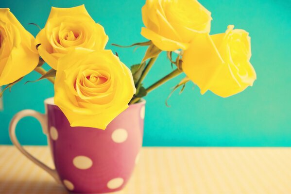 Le rose gialle stanno in un vaso