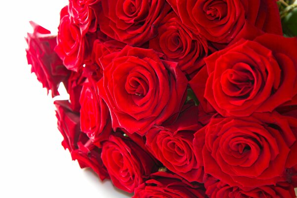 Bouquet di rose rosse di lusso