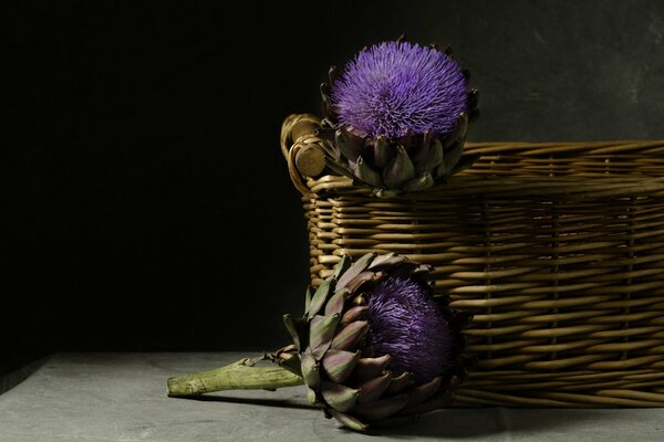 Belle image avec des fleurs d artichaut