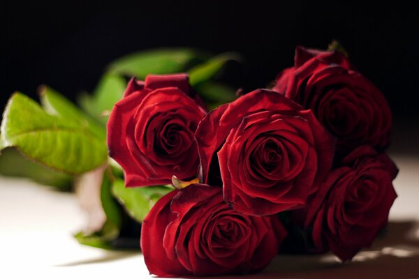 The most beautiful bouquet of red roses