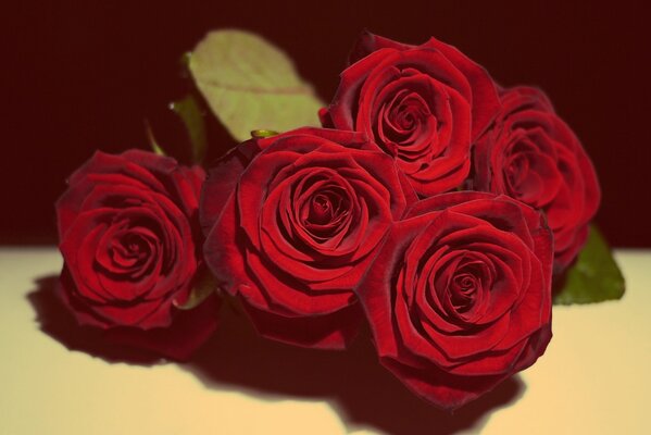 Bouquet de roses rouges en cadeau
