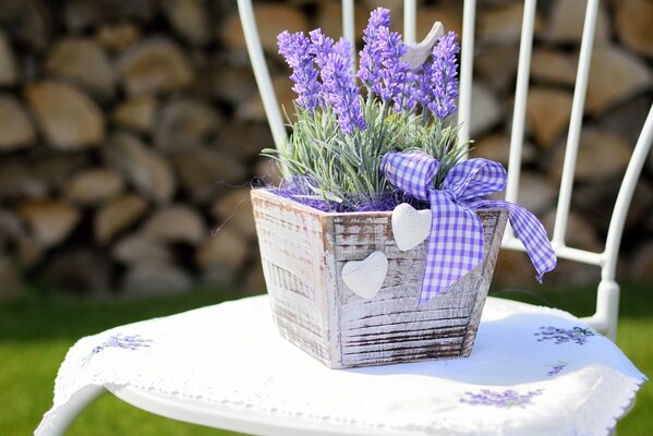 Vaso di lavanda in piedi su una sedia bianca come la neve con un nastro