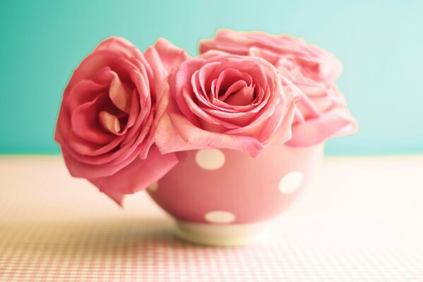 Ciotola di rose vintage - vintage