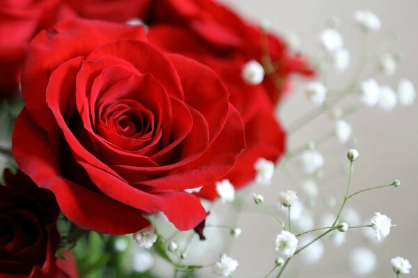 Parte del ramo de rosas de la boda