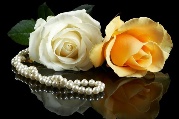 Two roses on a dark background with pearl beads