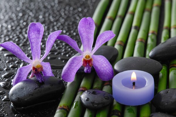 Orchideen und Spa Steine auf Bambus