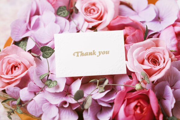Una Postal sobre un fondo de rosas Rosadas
