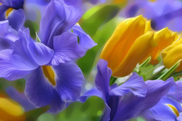 Graifika raffigurante tulipani e Iris