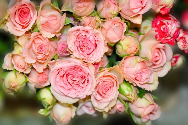 Blumenstrauß aus kleinen rosa Rosen