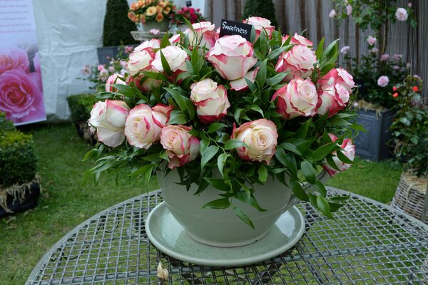 A bouquet of lime roses in a vase