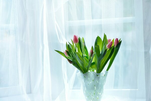 Bouquet de tulipes debout dans un vase près de la fenêtre