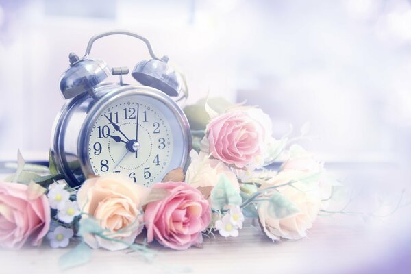 Love begins with beautiful roses