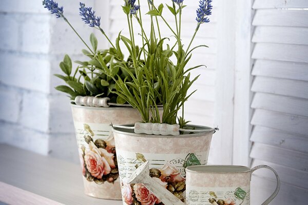 Lavender flowers in a bucket next to a watering can