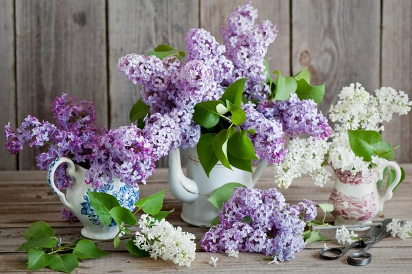 Primavera delicado ramo de Lilas