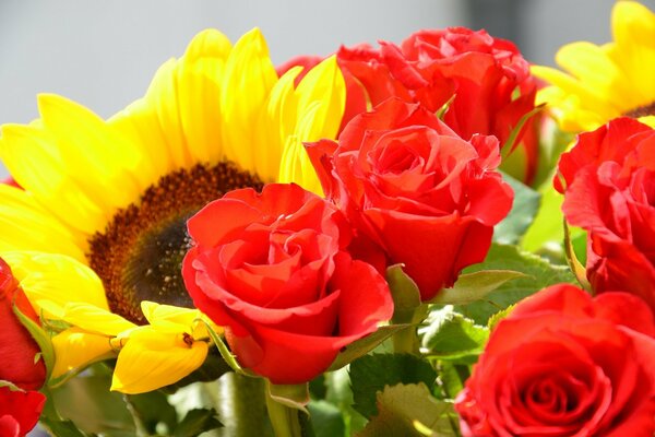 Tournesol lumineux dans un bouquet rose