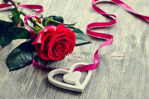 Gift rose with ribbon and heart