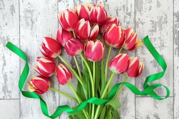 Bouquet de tulipes fraîches avec ruban
