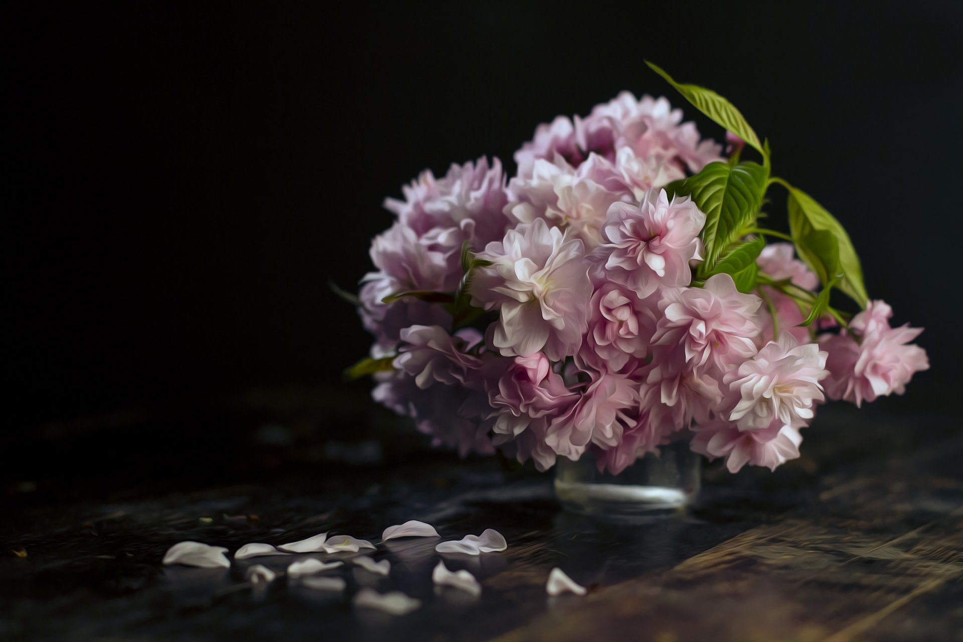 blossom bouquet petal