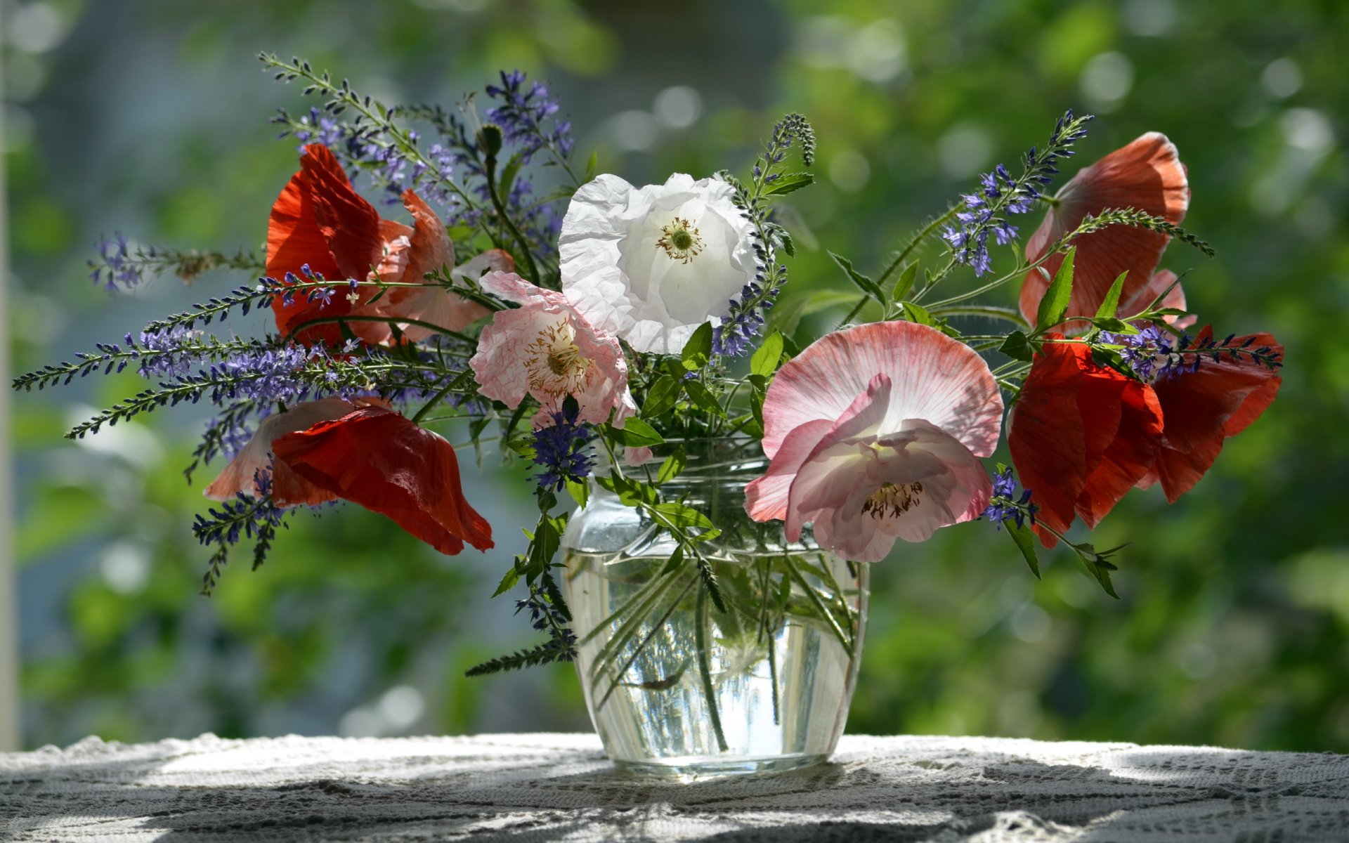 fiori natura sfondo